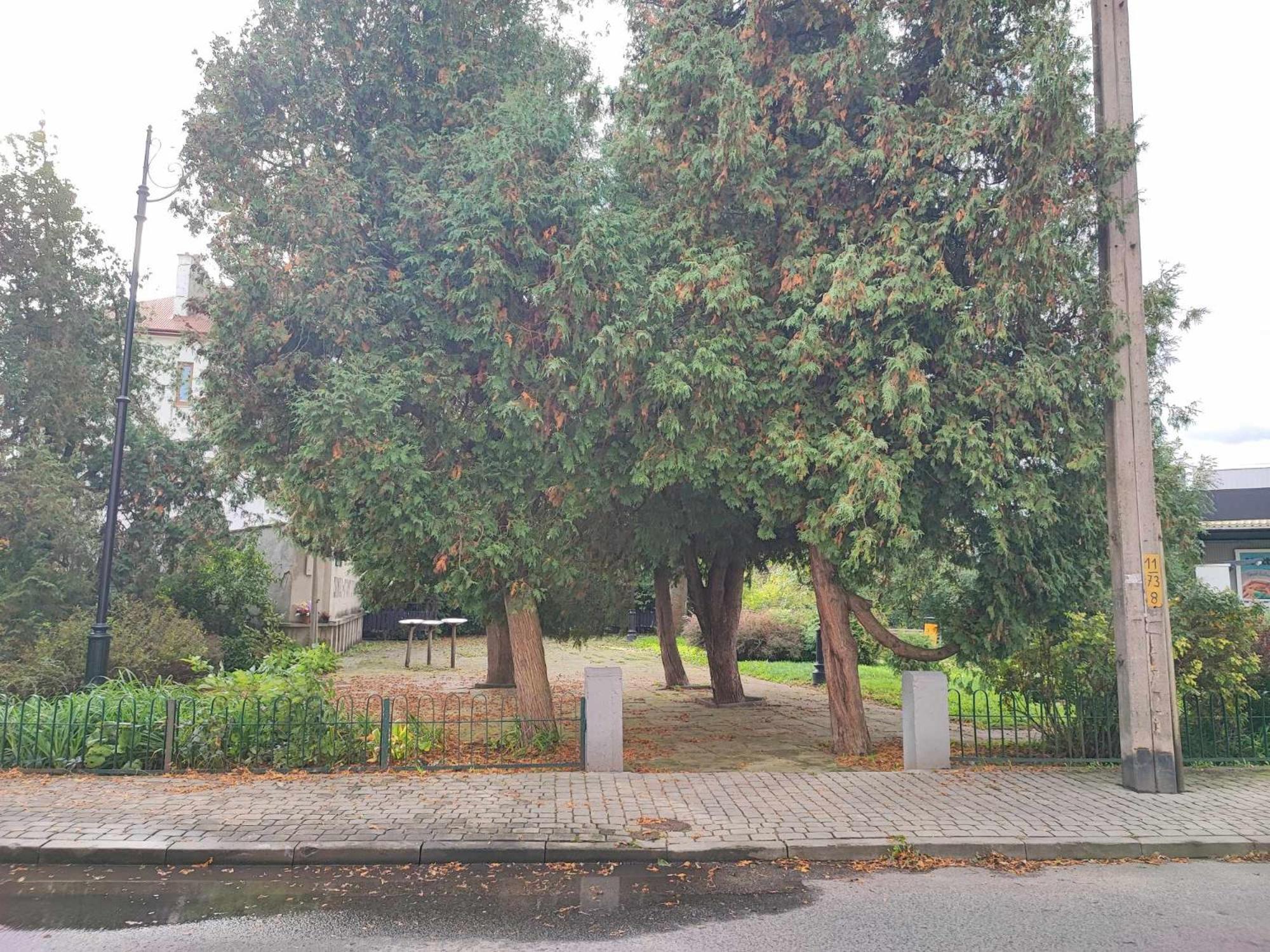 Apartament Poniatowskiego 4 Przemyśl 外观 照片